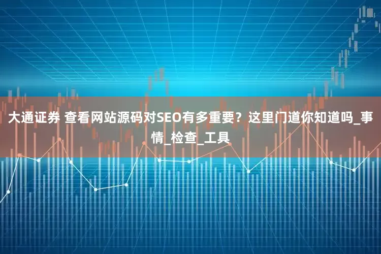 大通证券 查看网站源码对SEO有多重要？这里门道你知道吗_事情_检查_工具