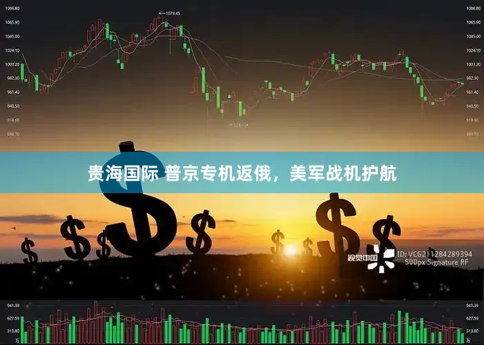 贵海国际 普京专机返俄，美军战机护航