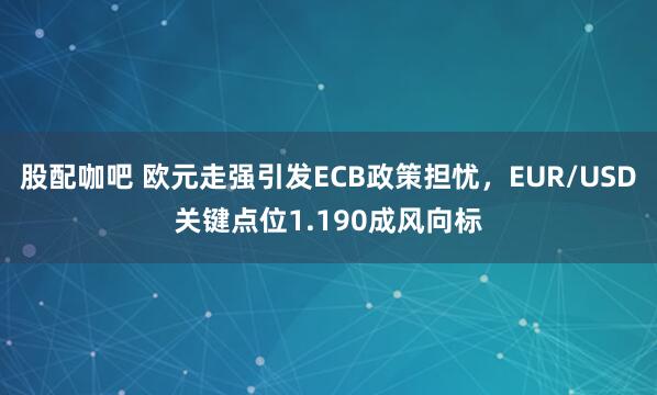 股配咖吧 欧元走强引发ECB政策担忧，EUR/USD关键点位1.190成风向标